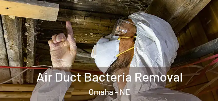  Air Duct Bacteria Removal Omaha - NE