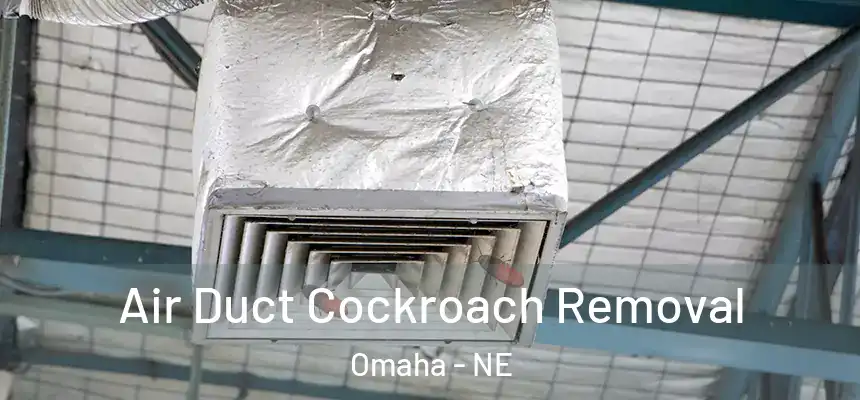  Air Duct Cockroach Removal Omaha - NE