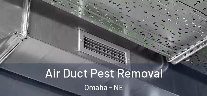 Air Duct Pest Removal Omaha - NE