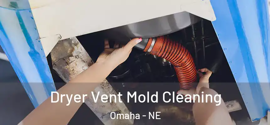 Dryer Vent Mold Cleaning Omaha - NE