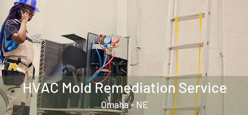 HVAC Mold Remediation Service Omaha - NE