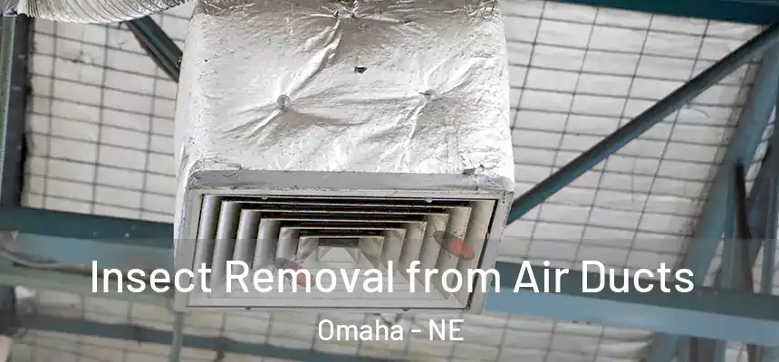 Insect Removal from Air Ducts Omaha - NE