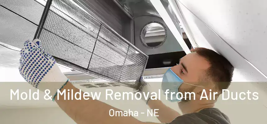 Mold & Mildew Removal from Air Ducts Omaha - NE