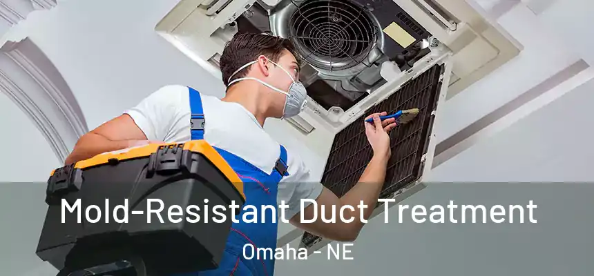 Mold-Resistant Duct Treatment Omaha - NE