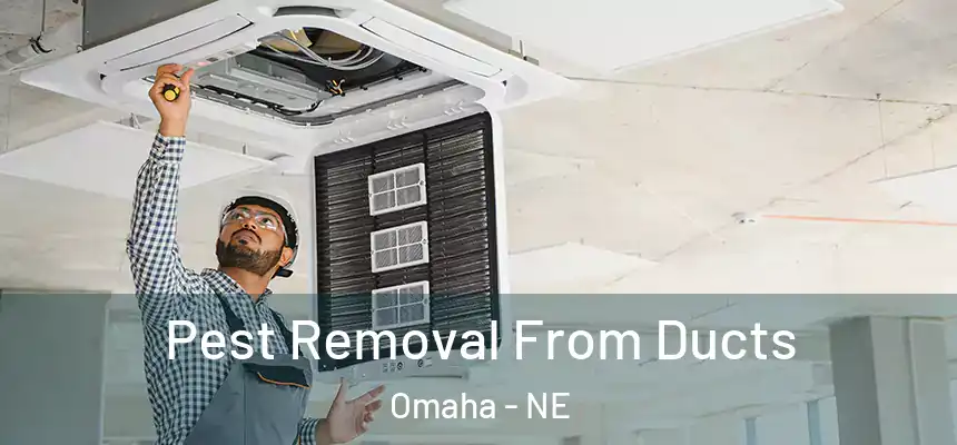 Pest Removal From Ducts Omaha - NE