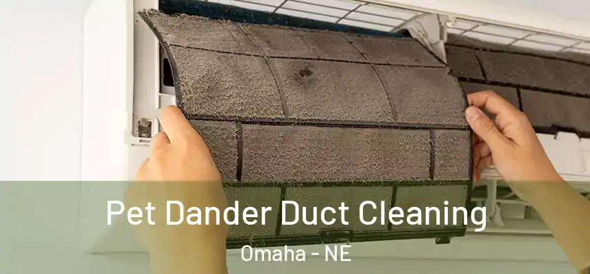 Pet Dander Duct Cleaning Omaha - NE