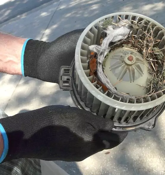 About Air Duct Mice Removal in Omaha, NE