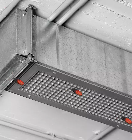 Affordable Insect Removal from Air Ducts in Omaha, NE