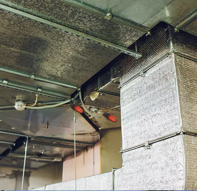 Why Homeowners & Businesses Trust Us in Omaha, NE?