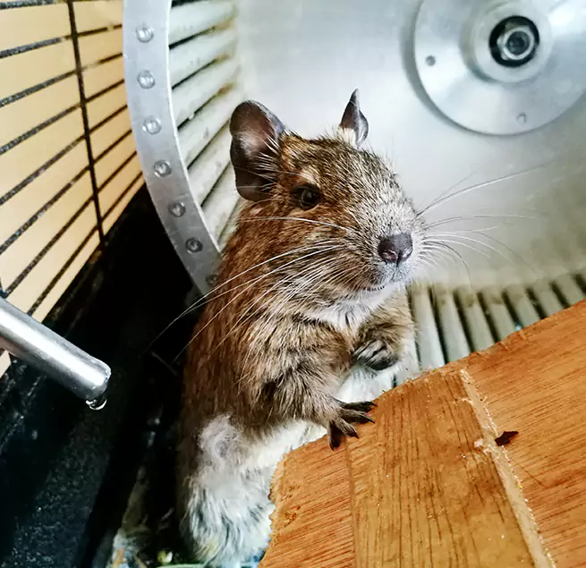 Why Homeowners & Businesses Trust Us Omaha, NE?